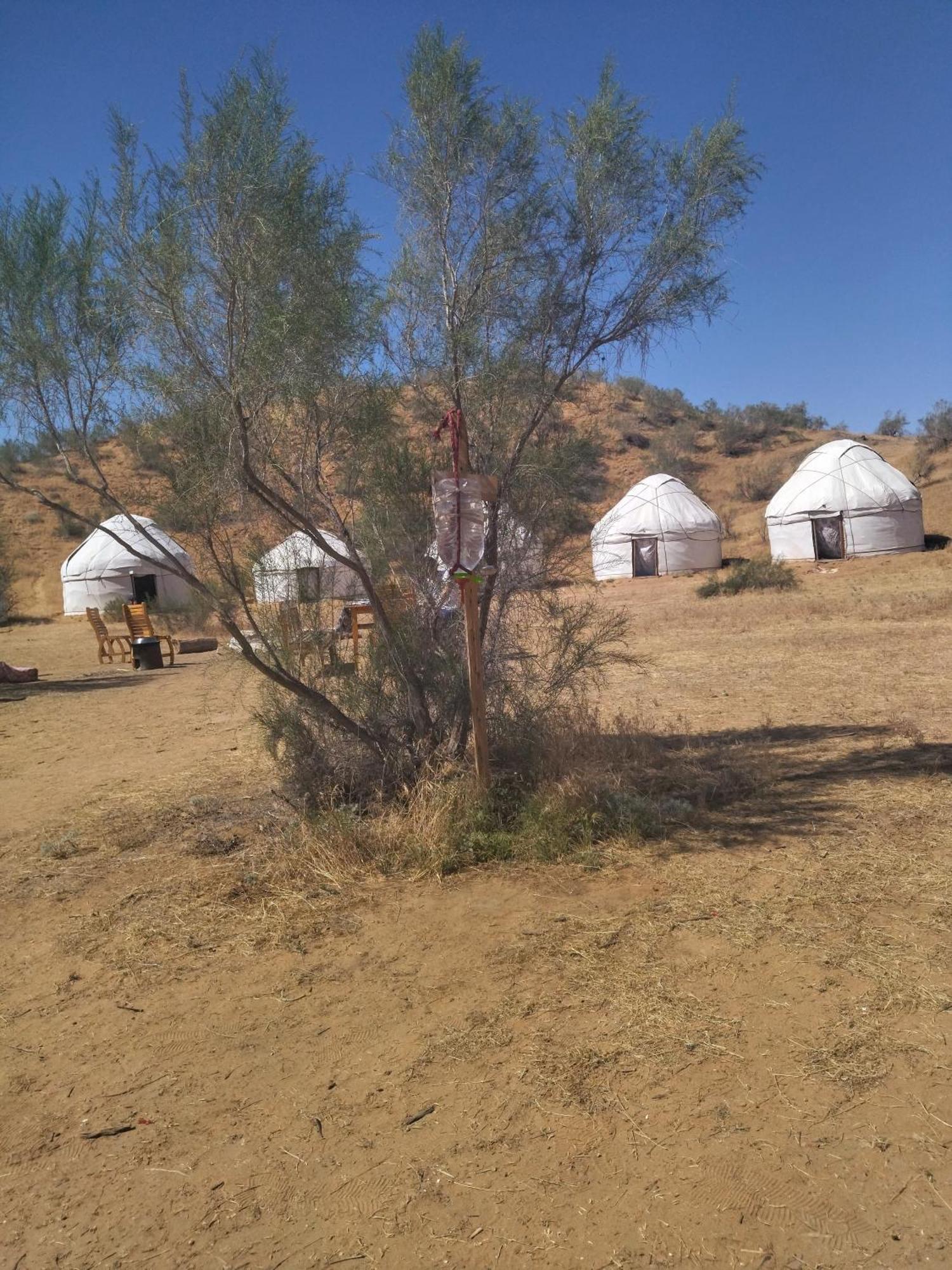 Hotel Authentic Uzbek Yurt Camp Eco-Friendly Nurota Exterior foto